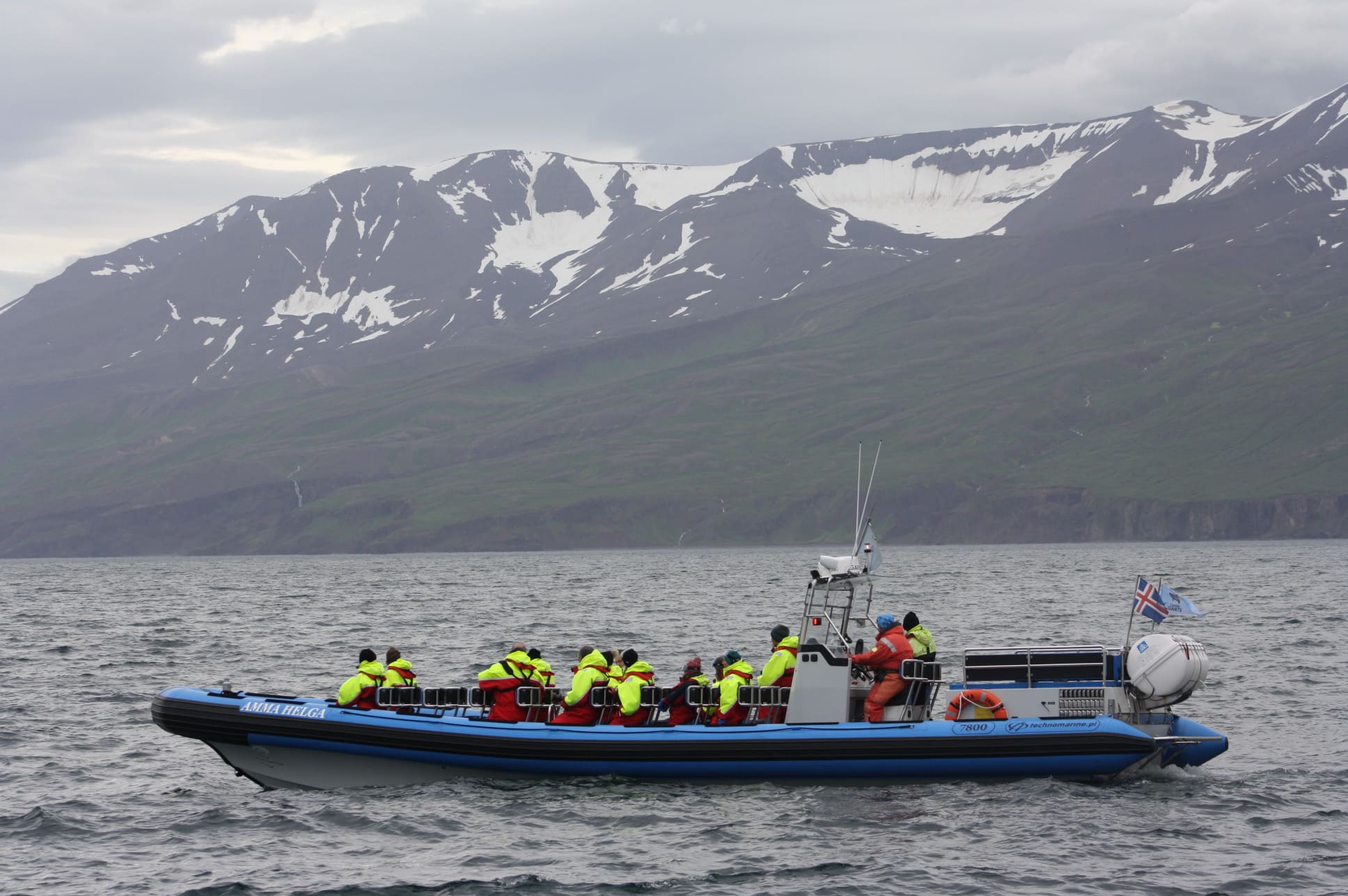 Bateau pour voir les baleines