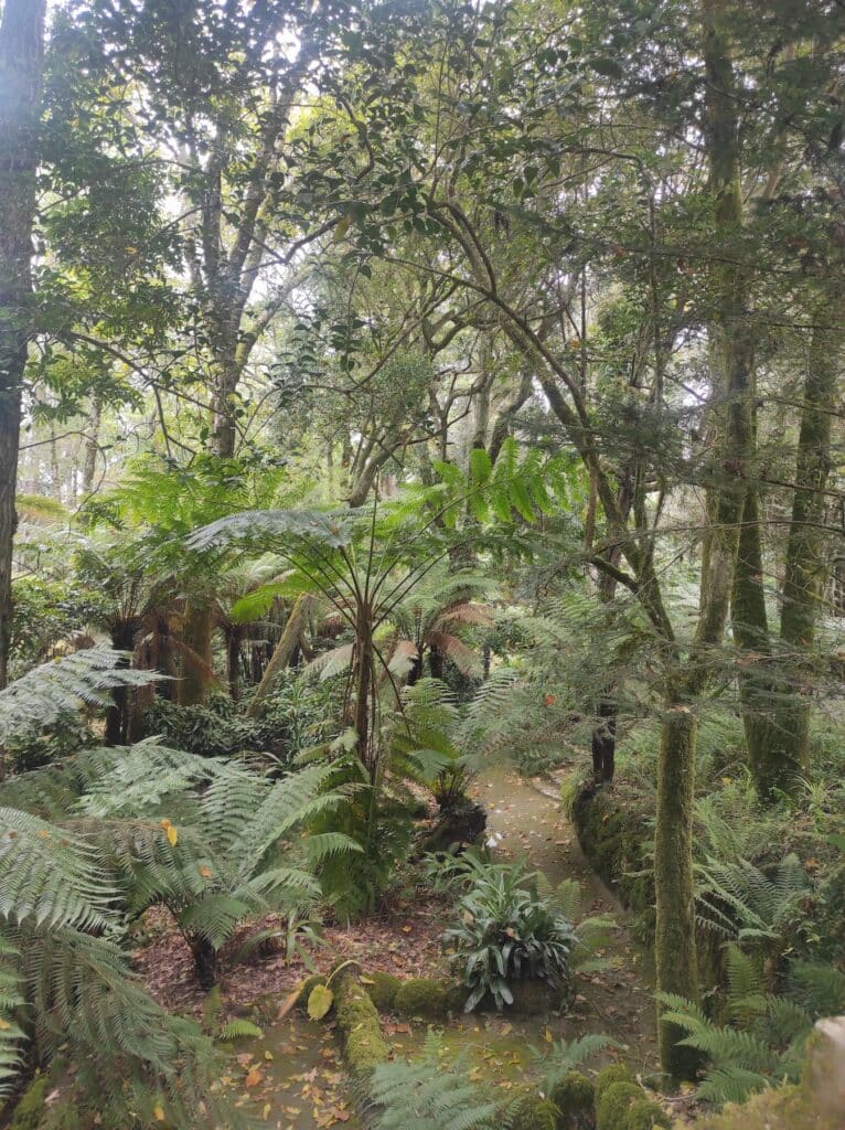 Parc de Pena de Sintra Portugal