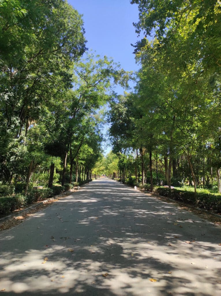 Parc Maria Luisa près de la place d'Espagne à Séville